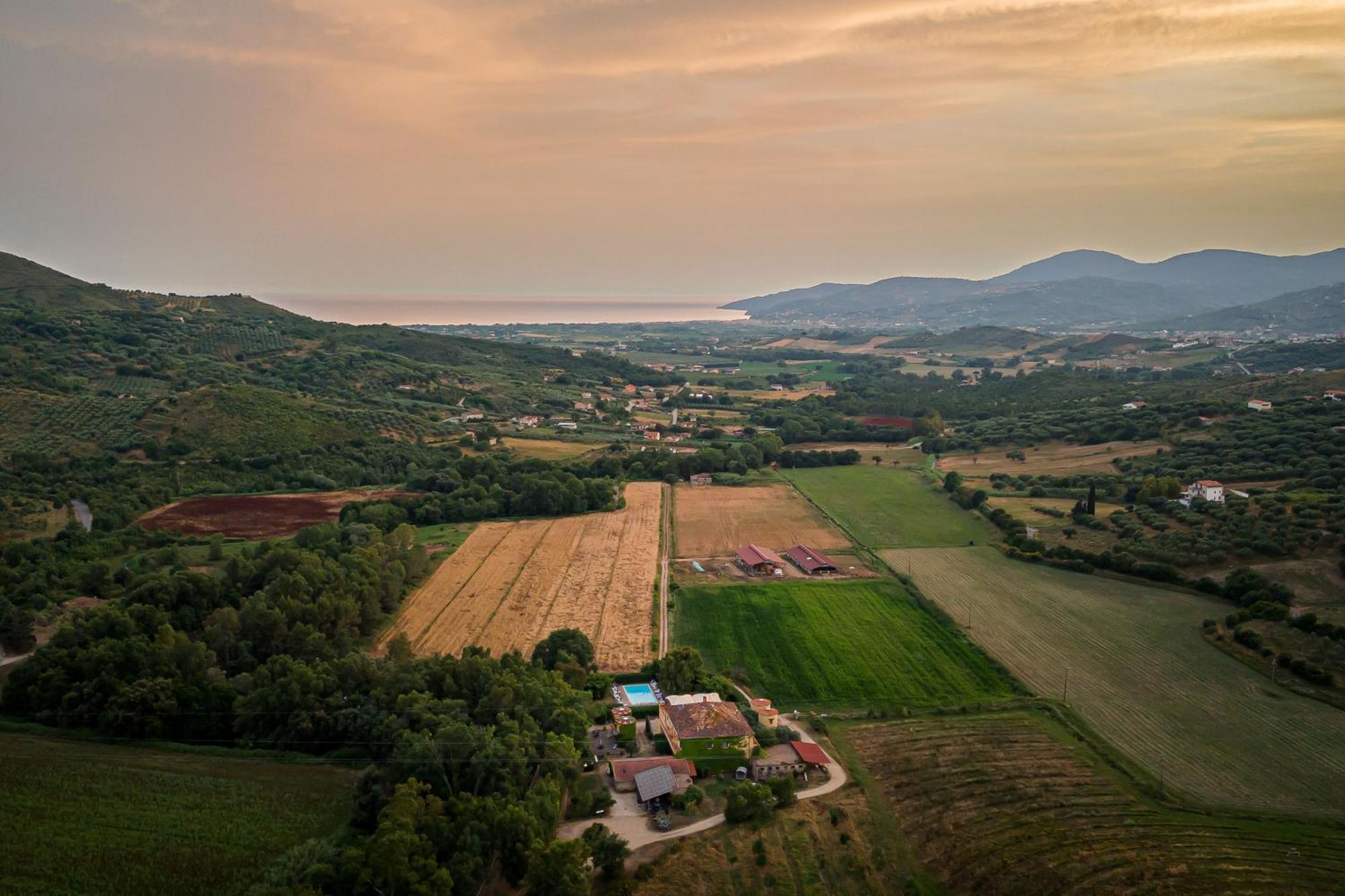 Agriturismo La Petrosa Ceraso Exterior foto